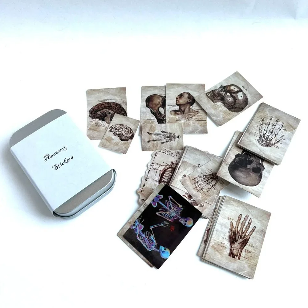 Anatomy Stickers Waterproof with Tin Box